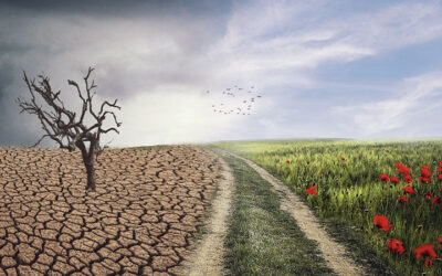 Cambi Climatici e Patologie Respiratorie