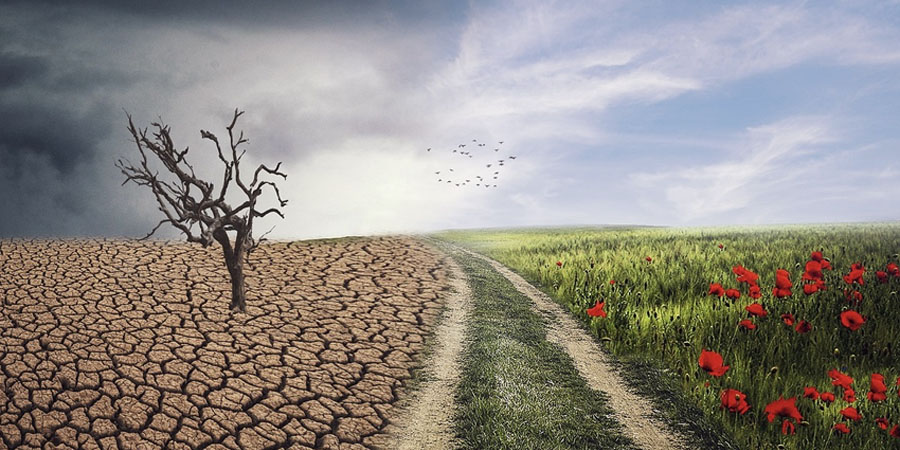 Cambi Climatici e Patologie Respiratorie