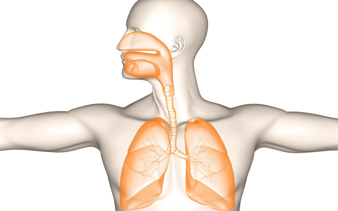 Quando il respiro ritrova armonia: un viaggio con BiPAP